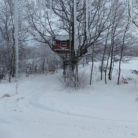 Vikendica Martinovic Villa Zlatibor Esterno foto