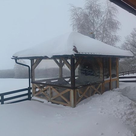 Vikendica Martinovic Villa Zlatibor Esterno foto