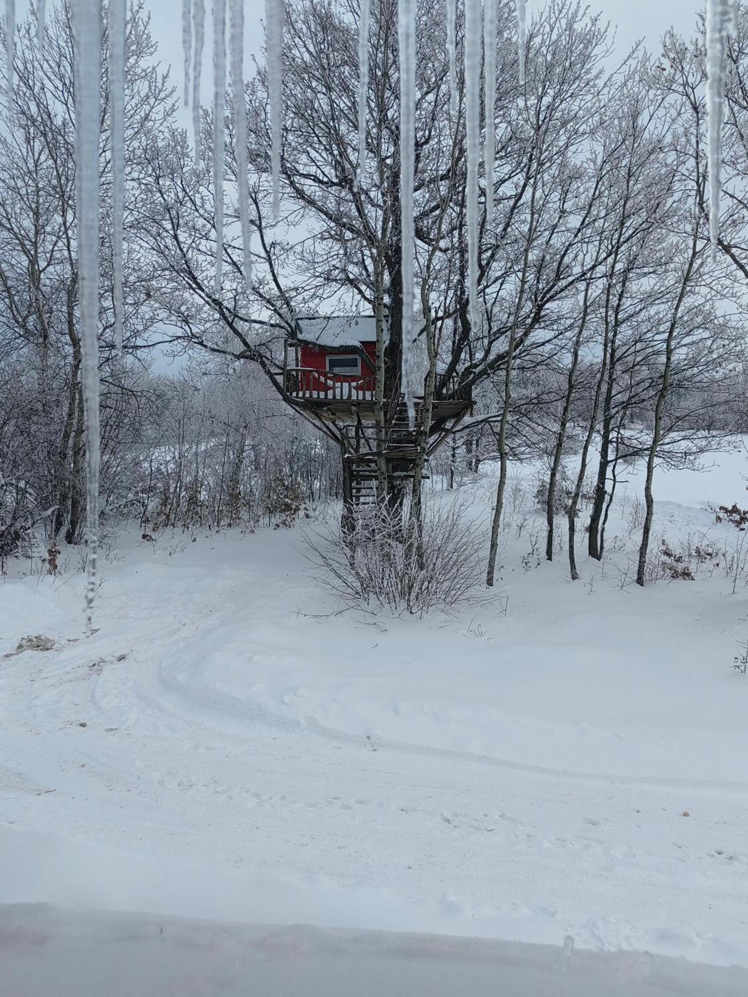 Vikendica Martinovic Villa Zlatibor Esterno foto